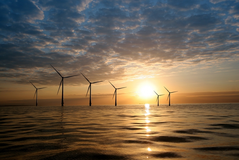 Kritik mot bidrag till vindkraft till havs
