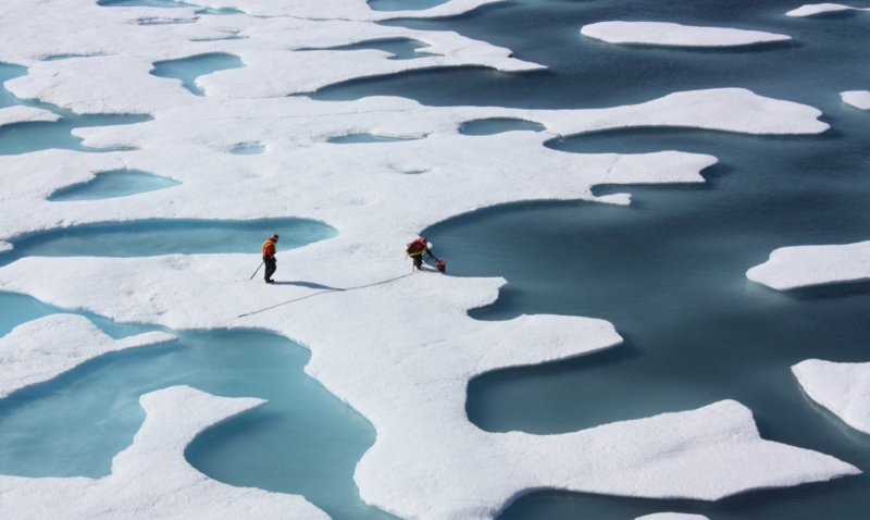Kvävebrist begränsar klimatuppvärmningens påverkan på Arktis
