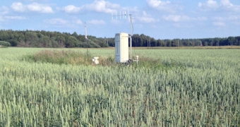 Skogen är ingen kolsänka