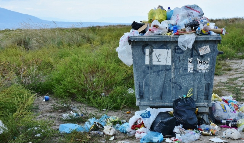 Utredare varnar för nedbrytbar plast – orsakar skador på miljön