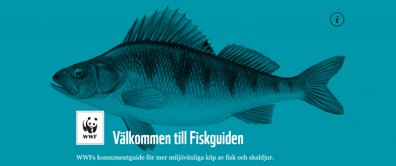 Fiskarna som får rött ljus i WWF:s nya fiskguide