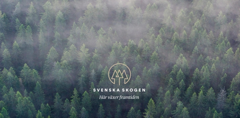 De är nominerade till Svenska Greenwashpriset 2018
