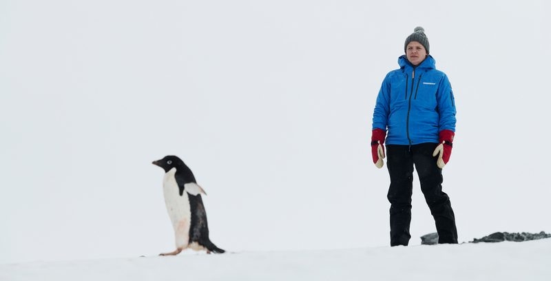 Pingviner kan få världens största reservat