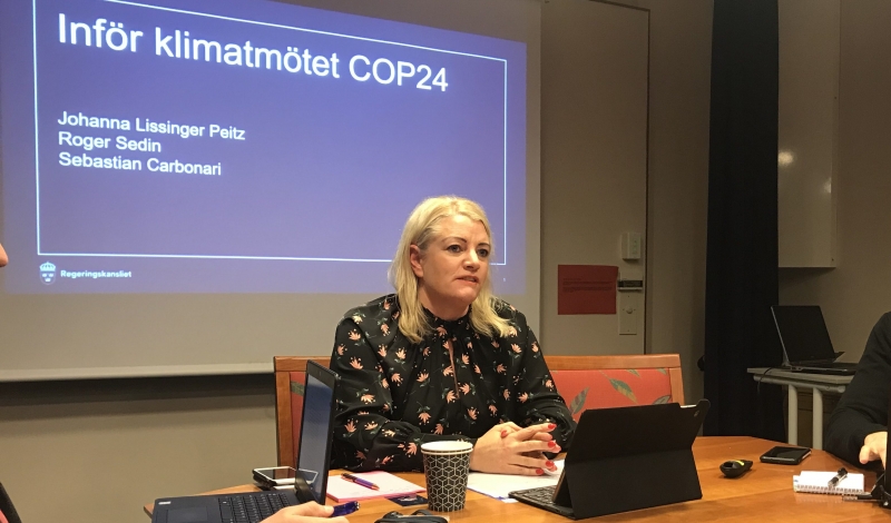 Pengarna det svåra inför klimatmötet i Polen
