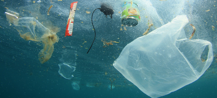 OECD varnar: Globalt plastavfall kan tredubblas till 2060