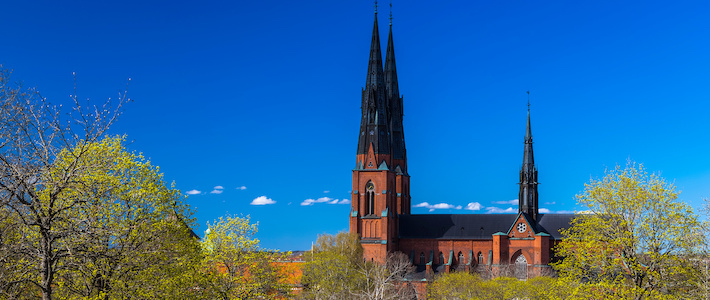 Så ändras Svenska kyrkans skogspolicy – går emot tidigare utredare