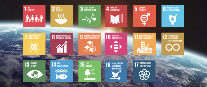 Experterna: ”Här är vad som krävs för att nå Agenda 2030-målen”