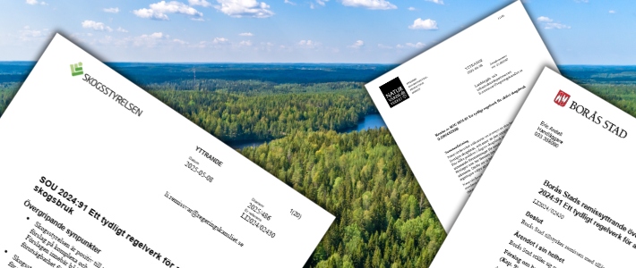 Stor remissgenomgång: Här går åsikterna isär kring skogsutredningens mest omstridda förslag