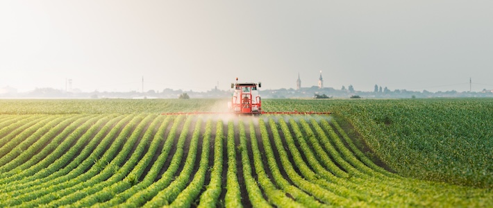 Skördar hotas av klimatförändringar – trots anpassningar