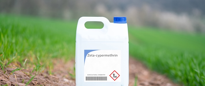 EU-domstolens generaladvokat: EU:s godkännande av cypermetrin var olagligt