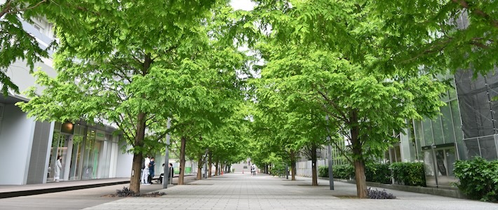 Grönområden minskar globalt – Norden går mot strömmen