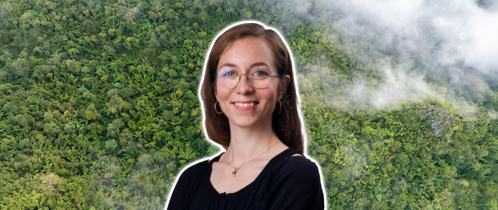 Experten: Så väljer du rätt negativa utsläpp