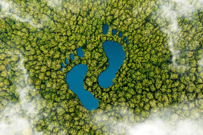 Organisationers klimatarbete kräver tydligare ansvar och transparens