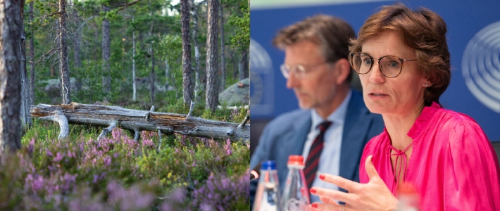 EU lanserar naturkrediter – ska sätta ekonomiskt värde på biologisk mångfald