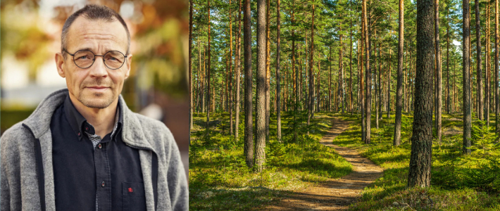Minskad kolinlagring hotar klimatmålen – ”Ökar kraven på andra sektorer”