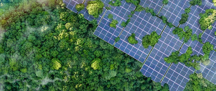 Läckt dokument: EU oenigt om klimatmål inför Cop30