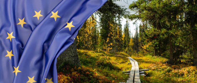 Genomgång: Här är de svenska synpunkterna på omnibus 2.0