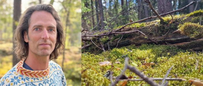 Malmö förbjuder kalhyggesvirke: ”Största klimatåtgärden i Sverige”