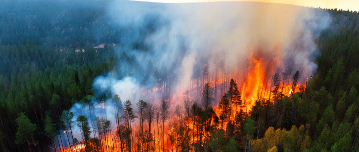 2025 ser ut att bli näst varmaste året hittills