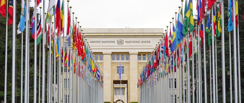 Stiltje i FN-processen om globalt företagsansvar