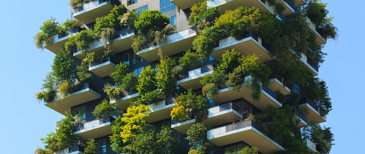 9 punkter: Så kan infrastrukturen återställa Europas biologiska mångfald