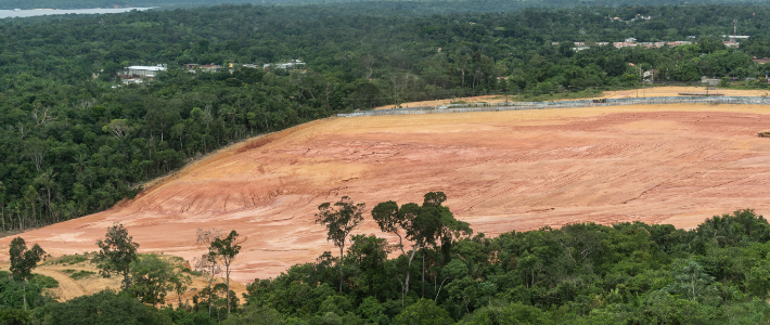 Klimatförändringar spås bli största orsaken till naturförlust senast 2050