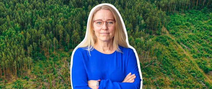 Produktbedömning – i strålkastarljuset för EUDR