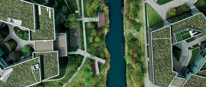 Biologisk mångfald i bygg-och fastighetssektorn innebär både utmaningar och möjligheter