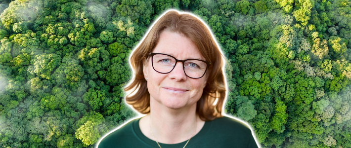 WWF:s kritik: EU-förslag hotar försvaga centrala miljölagar