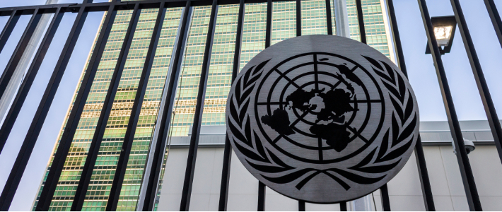 Ny rapport: Djurskydd saknas i FN:s hållbarhetsmål – riskerar folkhälsa