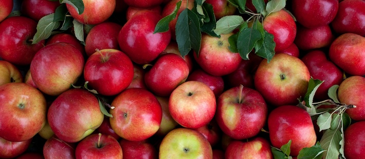 Pesticidcocktailer funna i majoriteten av äpplen i Europa