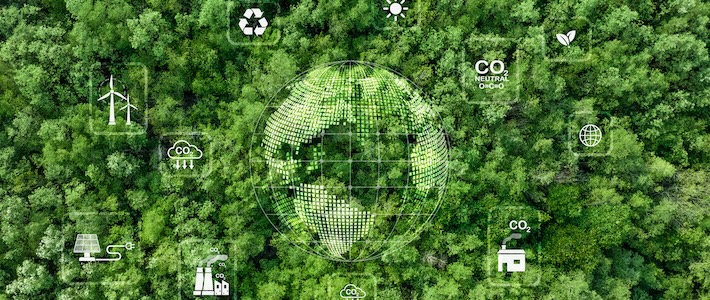 Skärpta regler för klimatkompensation – det här behöver köpare veta