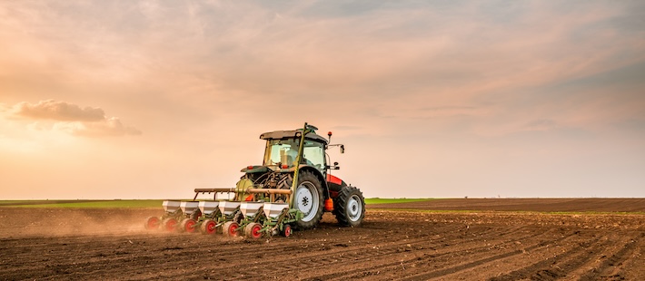 Studie: Gräs- och våtmarker omvandlas snabbt till jordbruksmark