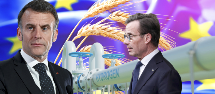 7 nyheter på EU:s hållbarhetsagenda