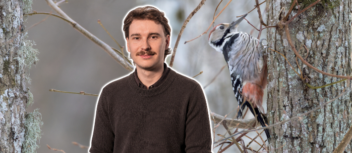 EU-dom om fågeldirektivet: Förebyggande åtgärder kan räcka för att tillåta projekt
