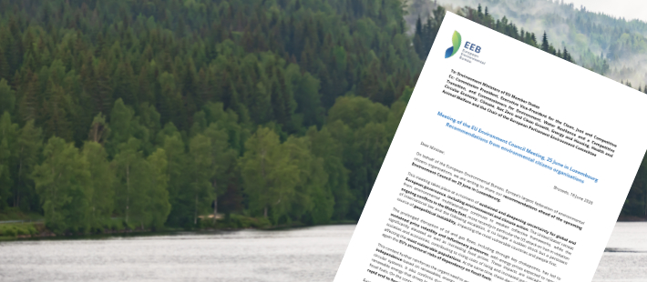 Miljörörelsen inför rådsmötet: Naturvård blir en regelförenklingsfråga