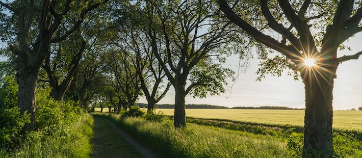 Nytt centrum för naturrestaurering etableras i Västra Götaland