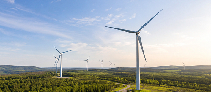 Grön el eller greenwashing? Så navigerar du i avtalsträsket
