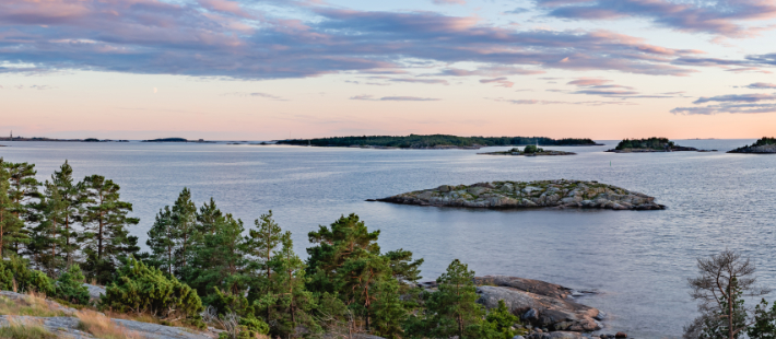 Studie: Östersjöns ekosystem har svårt att återhämta sig